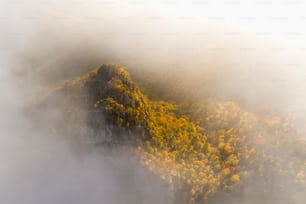 an aerial view of a mountain covered in fog