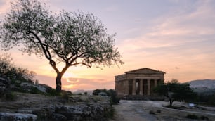 a tree in front of a building with a sunset in the background