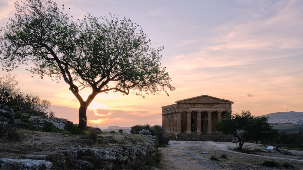 a tree in front of a building with a sunset in the background