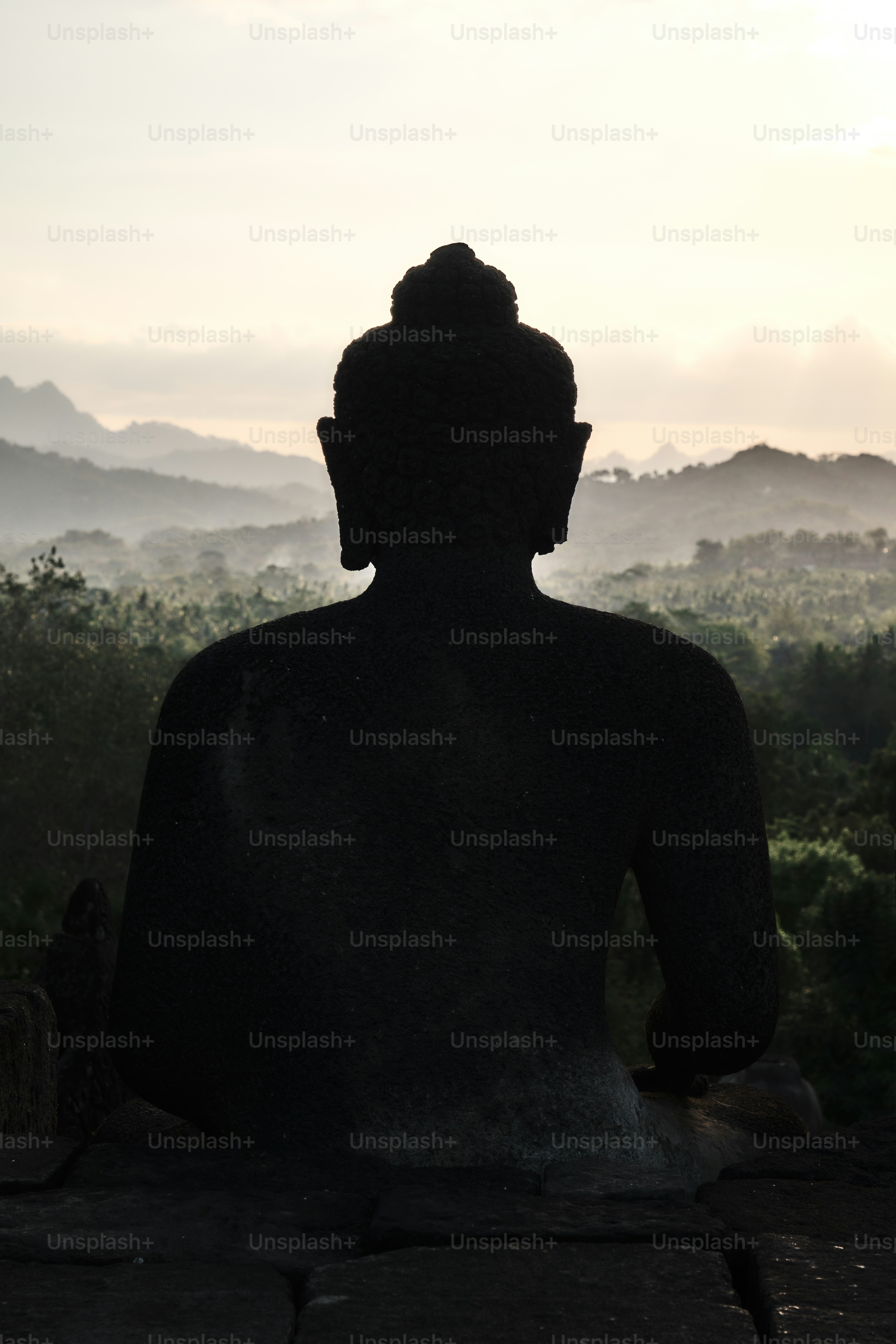 Una statua di Buddha seduta nel mezzo di una foresta