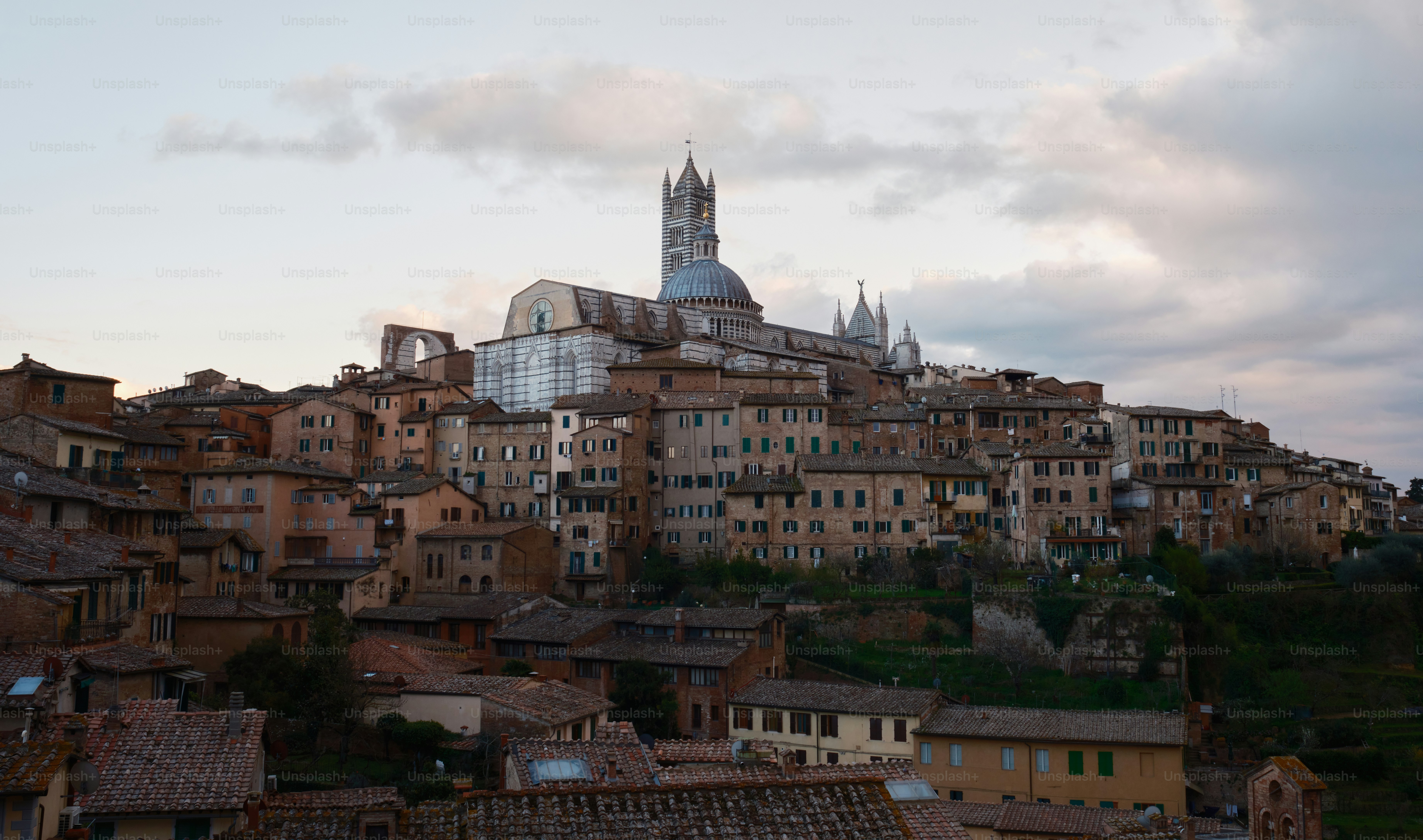 シエナ風景画　シエナの街並み /100 シエナ風景画 シエナの街並み /100 シエナ風景画 シエナの街並み