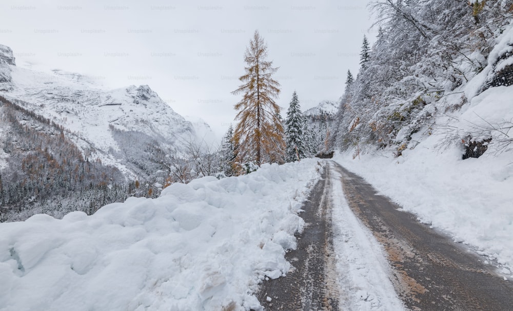 un camino cubierto de nieve en medio de una montaña