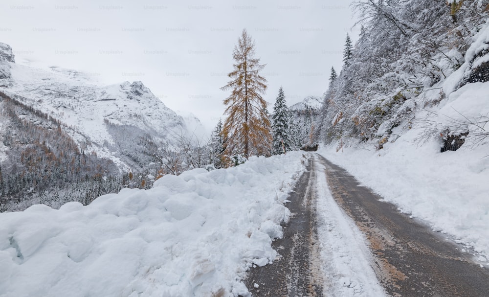 a snow covered road in the middle of a mountain