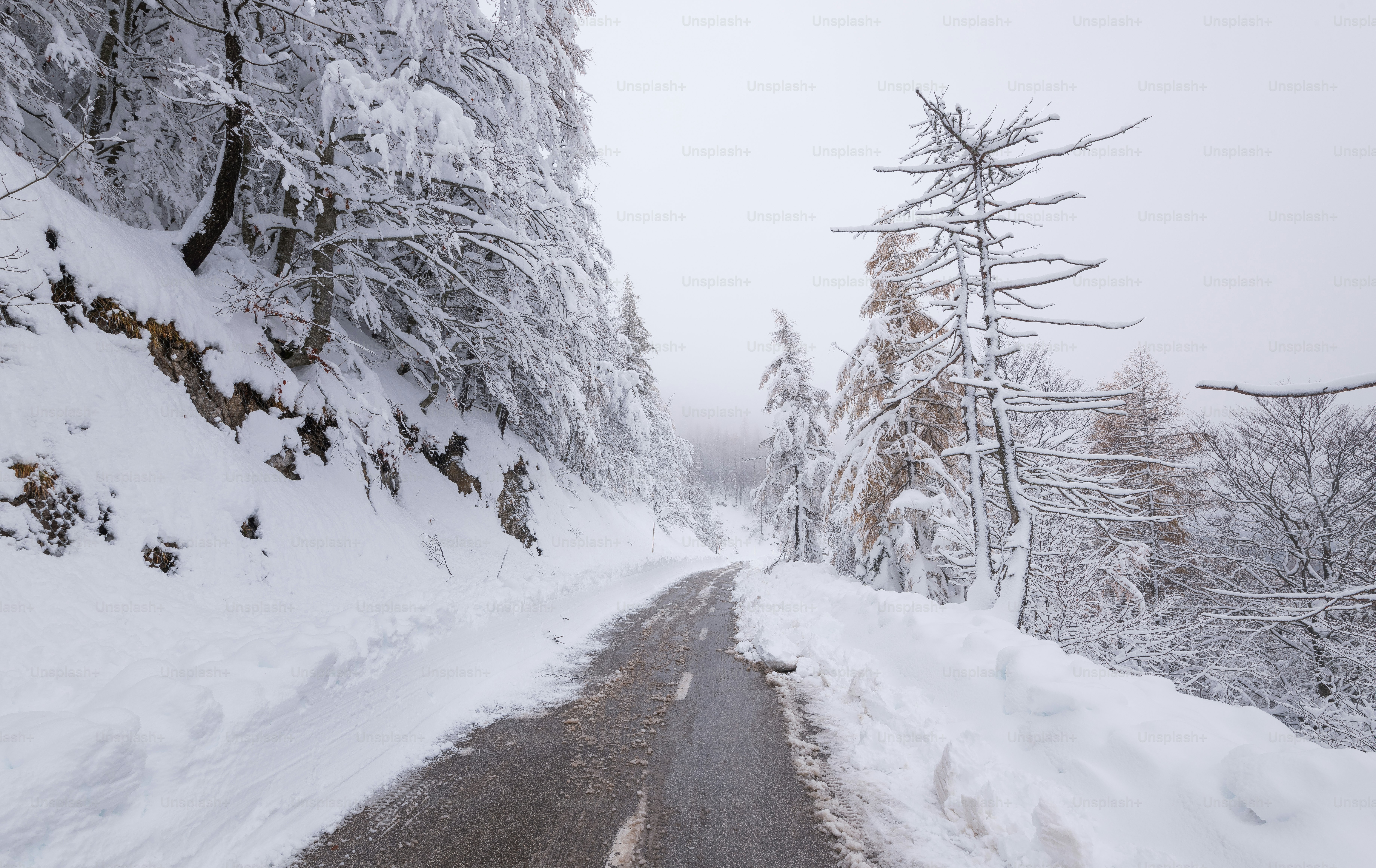 eine schneebedeckte Straße mitten im Wald