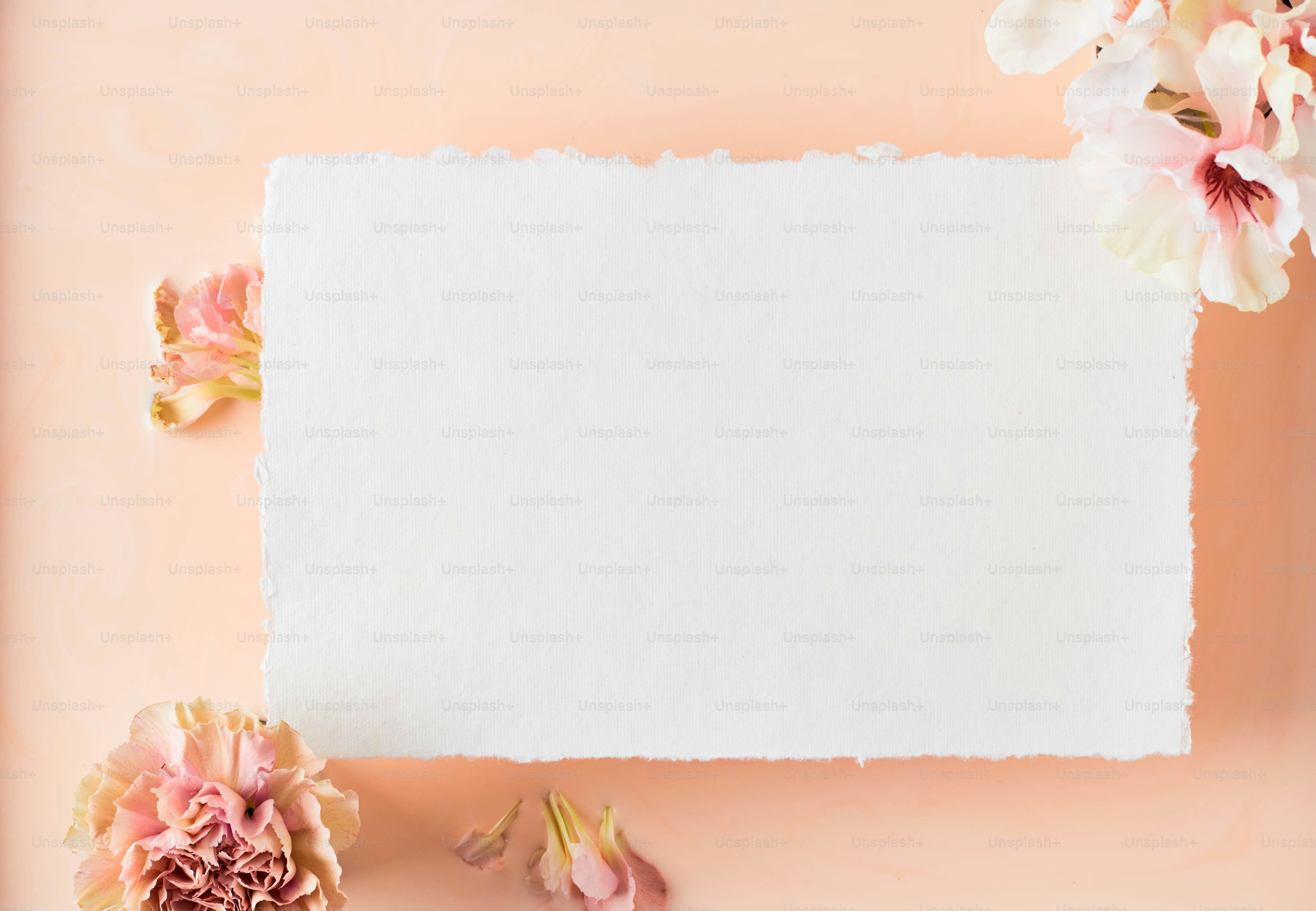 A piece of paper with flowers on a pink background photo – Background Image  on Unsplash, image size:3000x2077