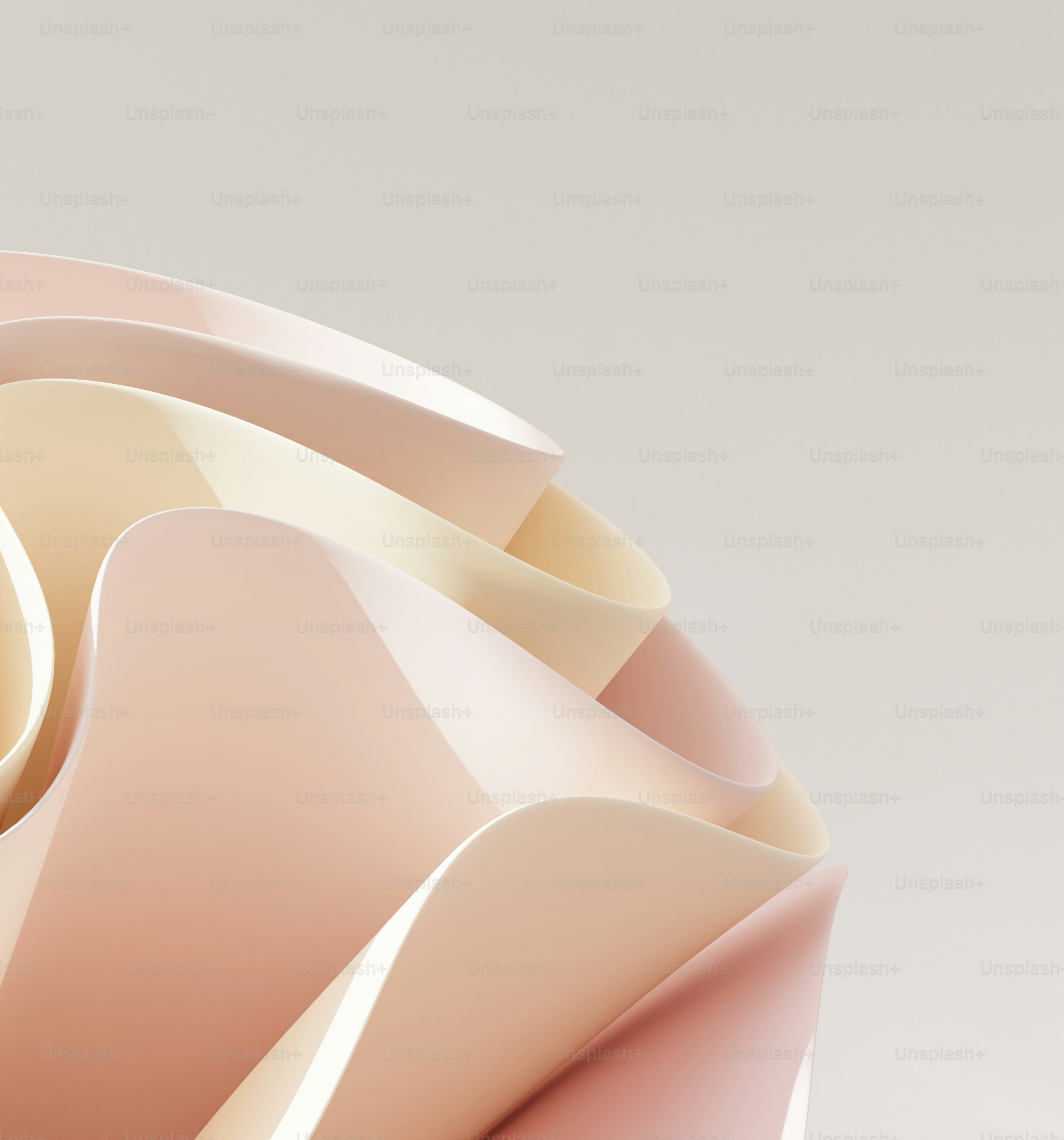 A close up of a pink vase with a white background photo – Rose Image on ...