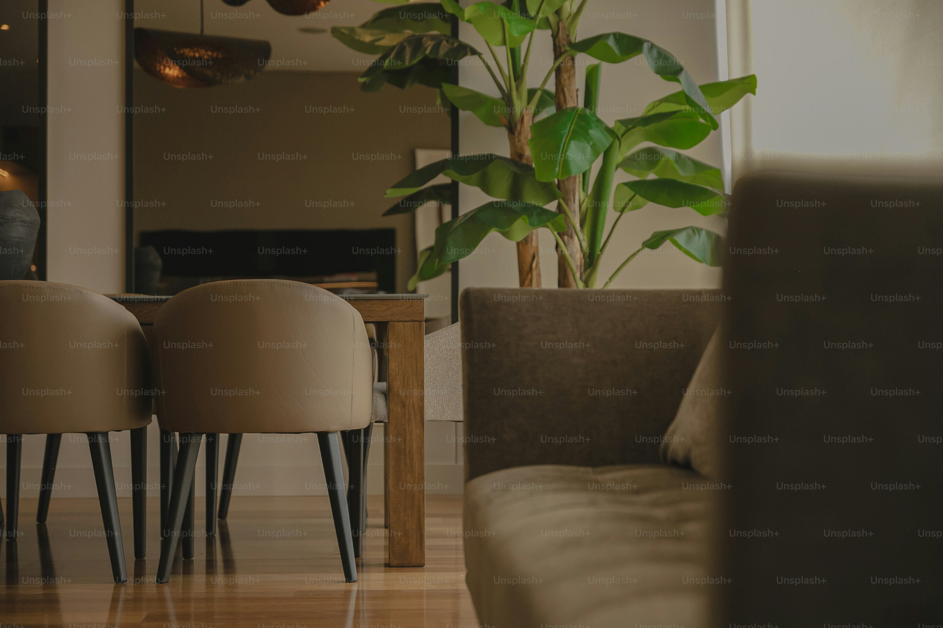 a living room filled with furniture and a potted plant