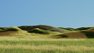 a field of grass with hills in the background