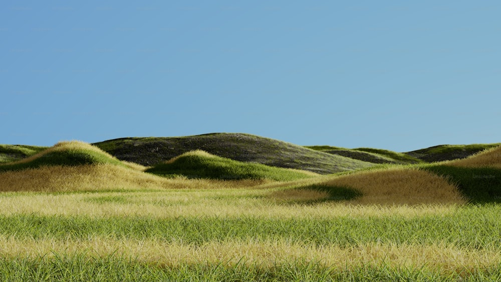 a field of grass with hills in the background