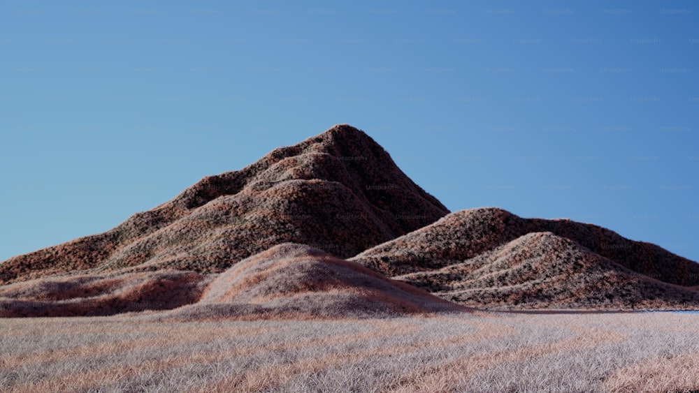 a hill of grass with a blue sky in the background