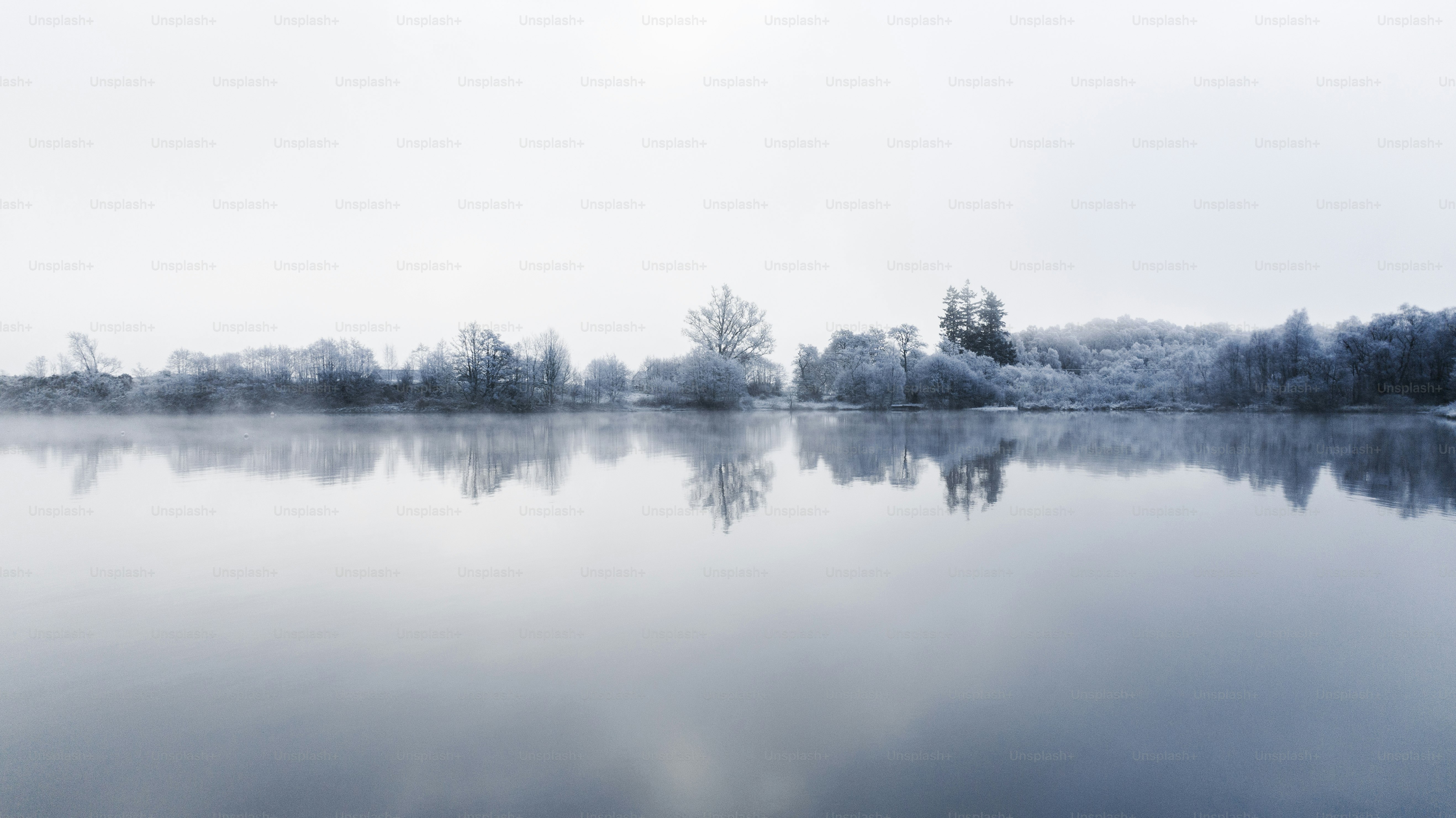 un grand plan d’eau entouré d’arbres