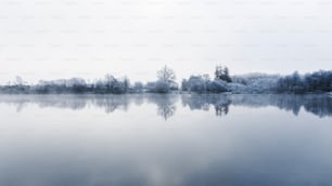 a large body of water surrounded by trees