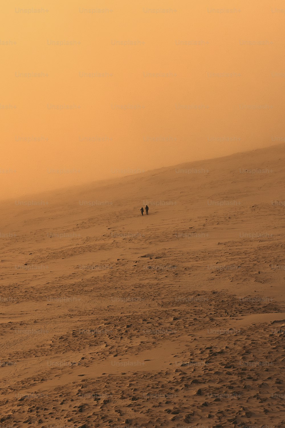 a couple of people walking across a sandy field