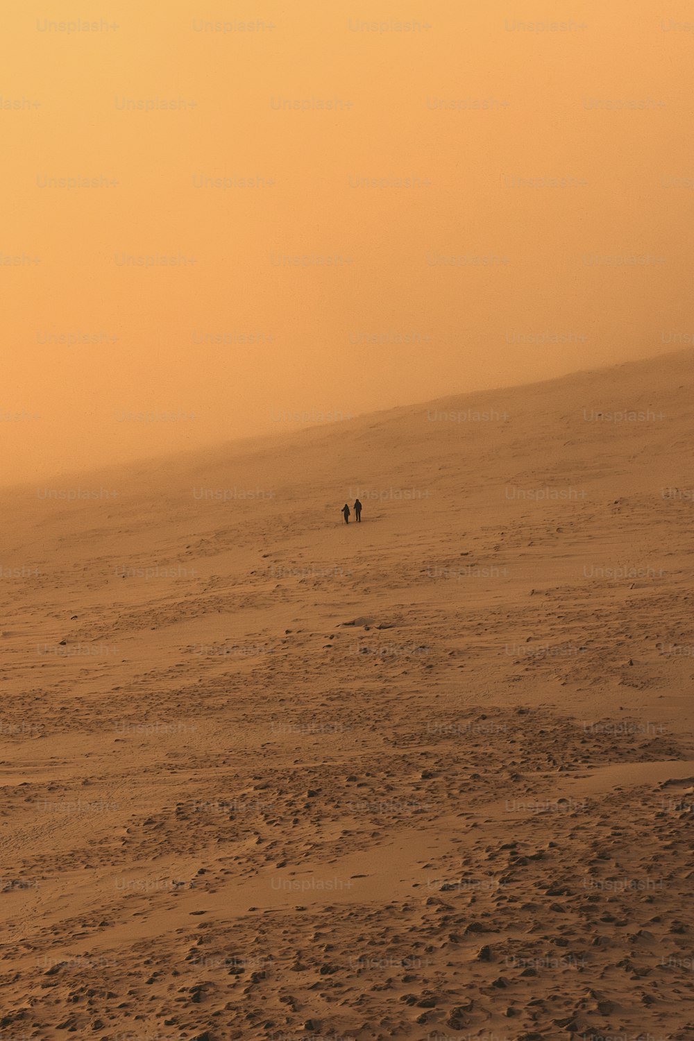 a couple of people walking across a sandy field