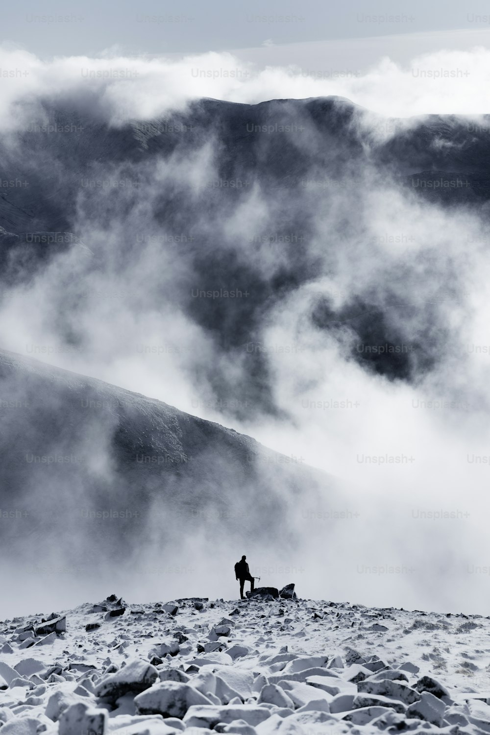una persona in piedi su una montagna con un cane