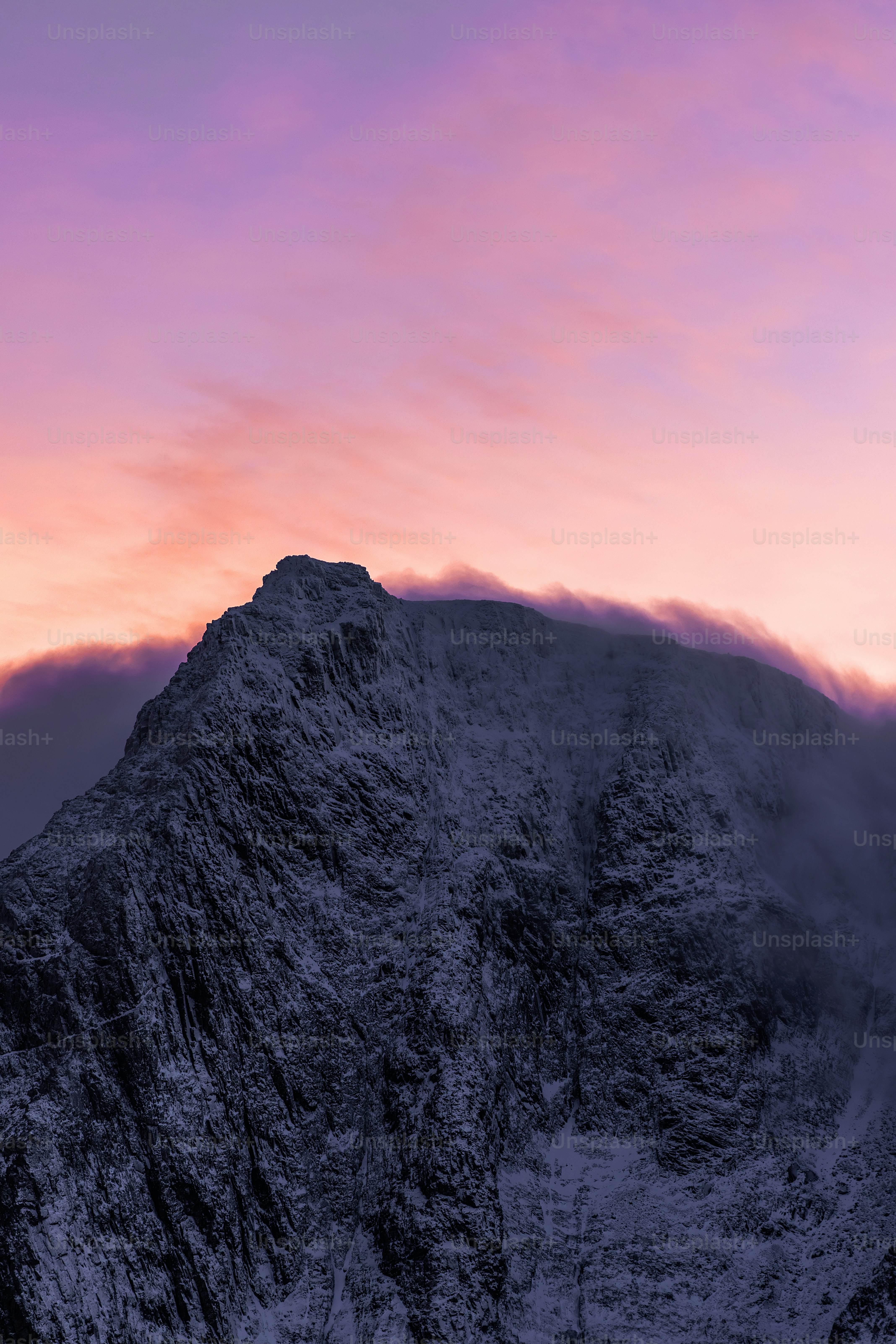 ⑨夕日を浴びて美しい雪の木立 | 2013.12.20 | Poran111 | Flickr, image size:3000x4499