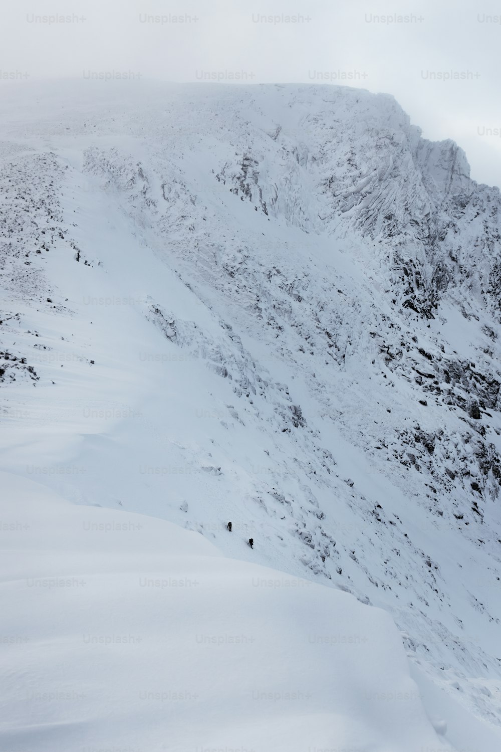 雪山の斜面をスキーで滑り降りる人