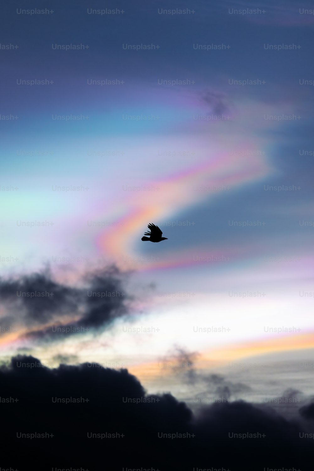 un uccello che vola nel cielo con un arcobaleno sullo sfondo