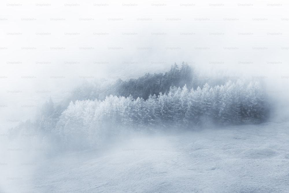 ein schneebedeckter Berg mit Bäumen im Hintergrund