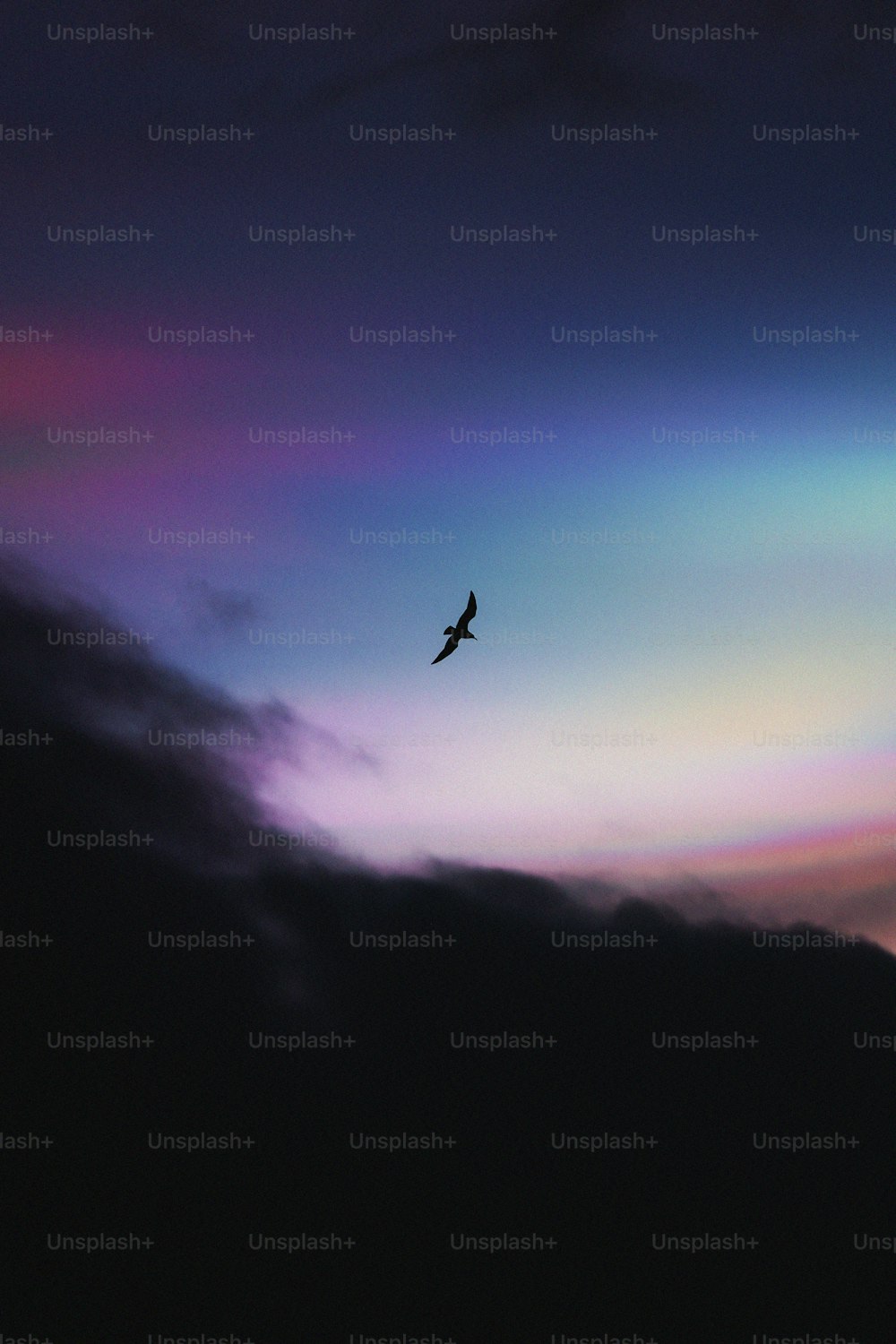um pássaro voando no céu com um arco-íris ao fundo