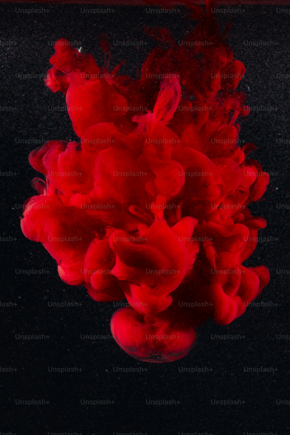 una sustancia roja flotando en el agua sobre un fondo negro