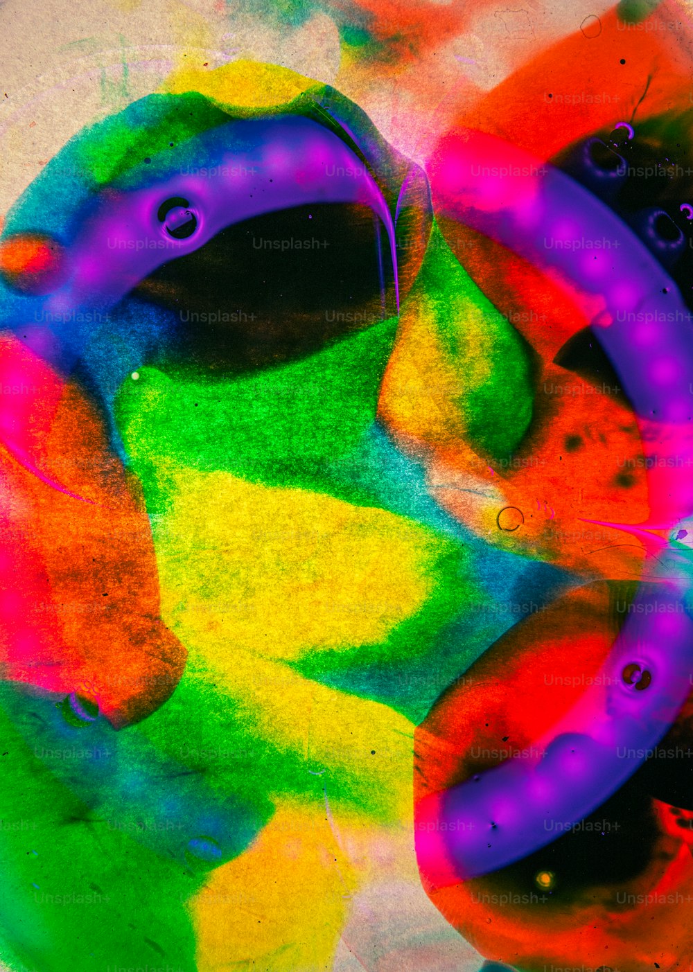 a multicolored picture of a fish in water