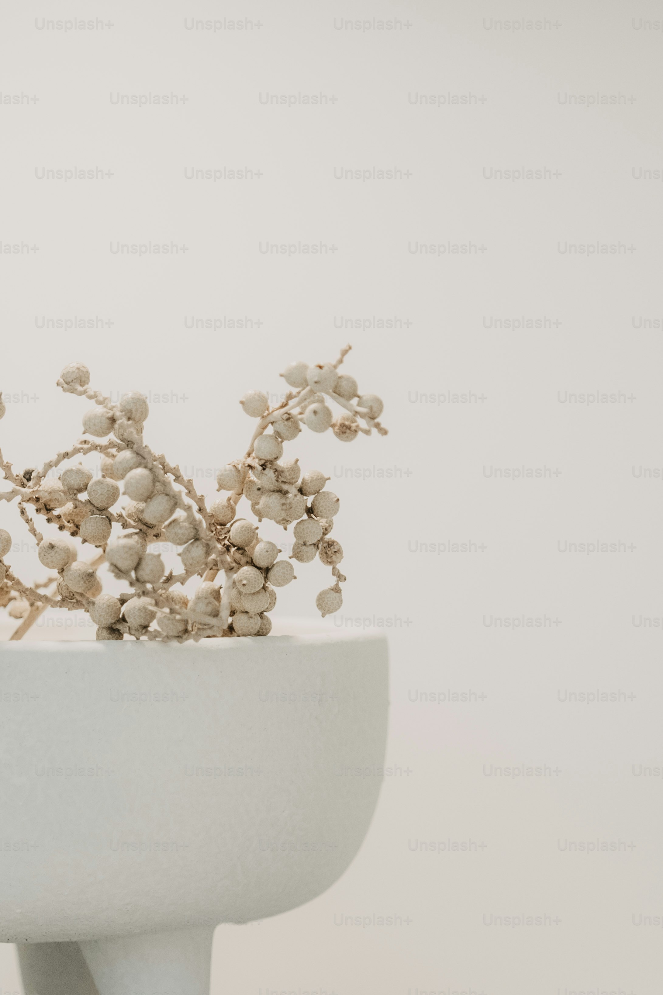 a white vase with a bunch of flowers in it