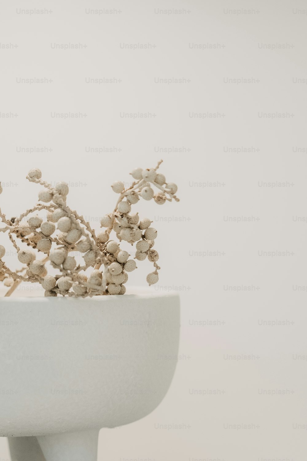 eine weiße Vase mit einem Blumenstrauß darin