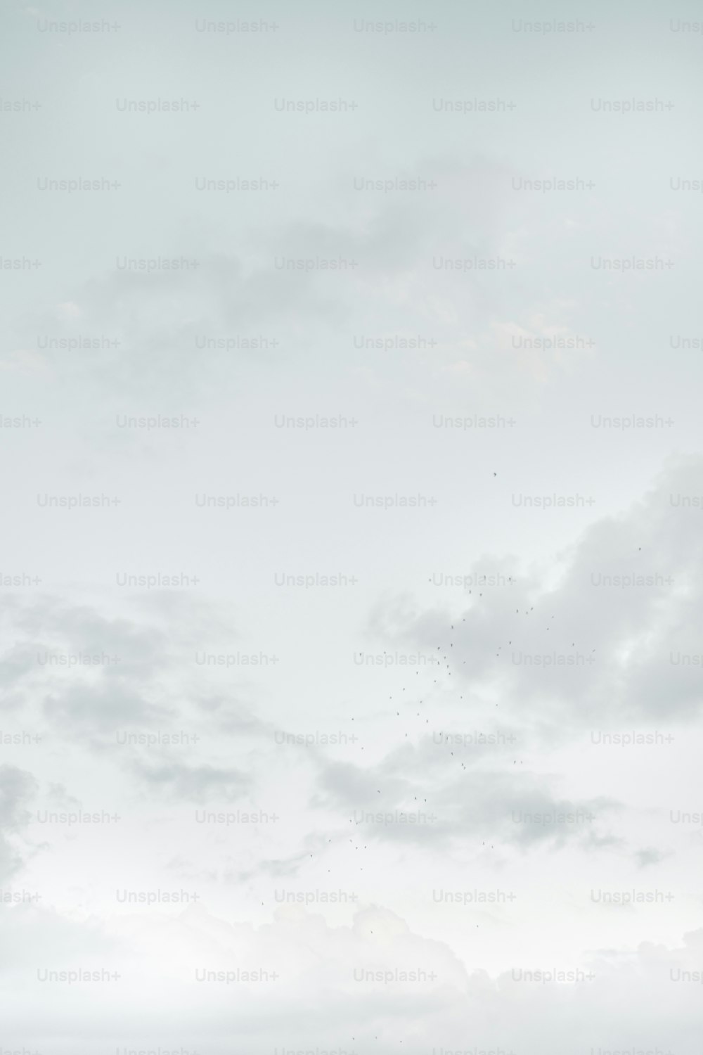 a group of people standing on top of a beach