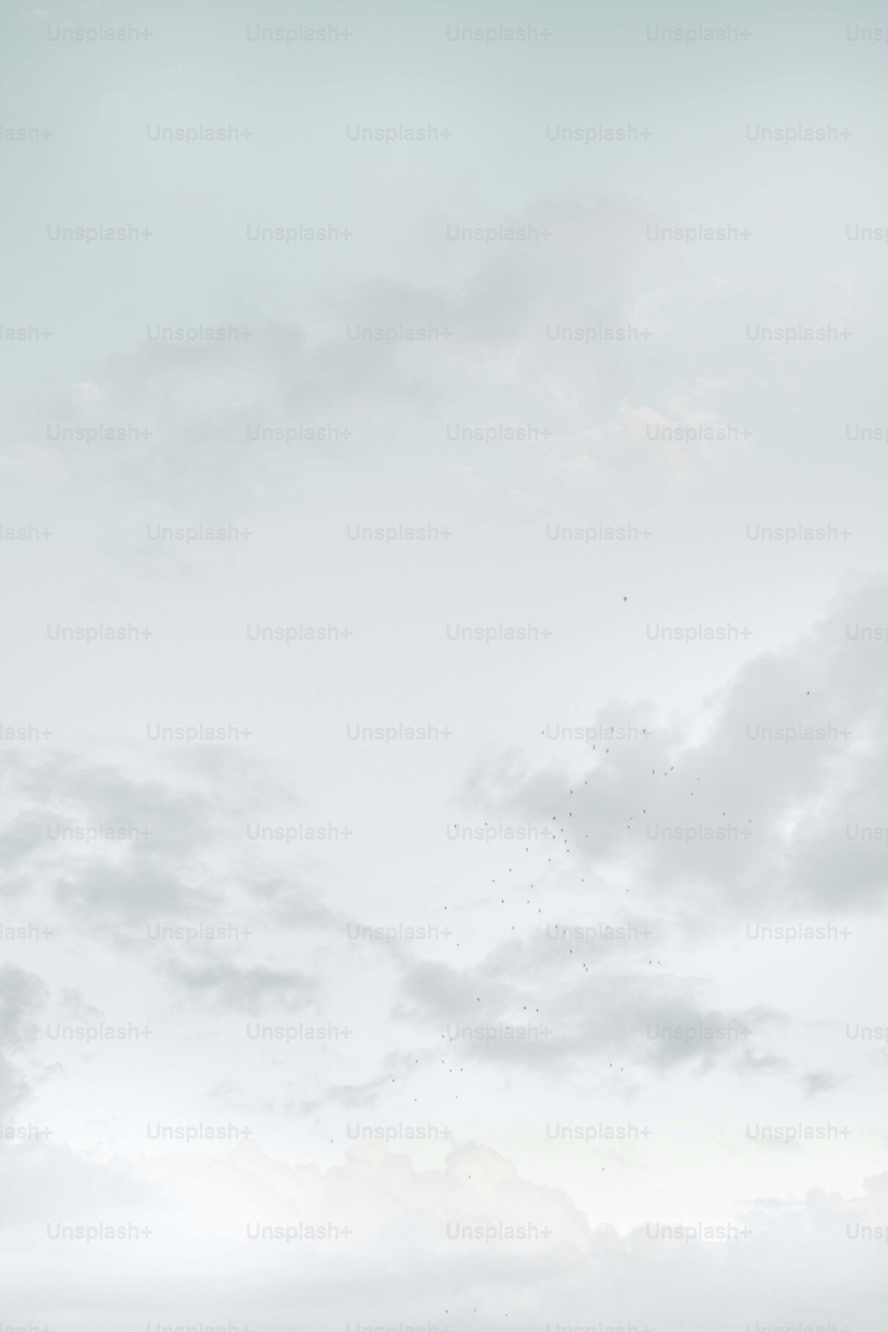 premium_photo-1706800282527-b18981a6a9af?ixid=M3wxMjA3fDB8MXxzZWFyY2h8OXx8JUUwJUI4JUFBJUUwJUI4JUE1JUUwJUI5JTg3JUUwJUI4JUFEJUUwJUI4JTk1ODg4fGVufDB8fHx8MTc1Mzg3OTg5OXww\u0026ixlib=rb-4.1.0