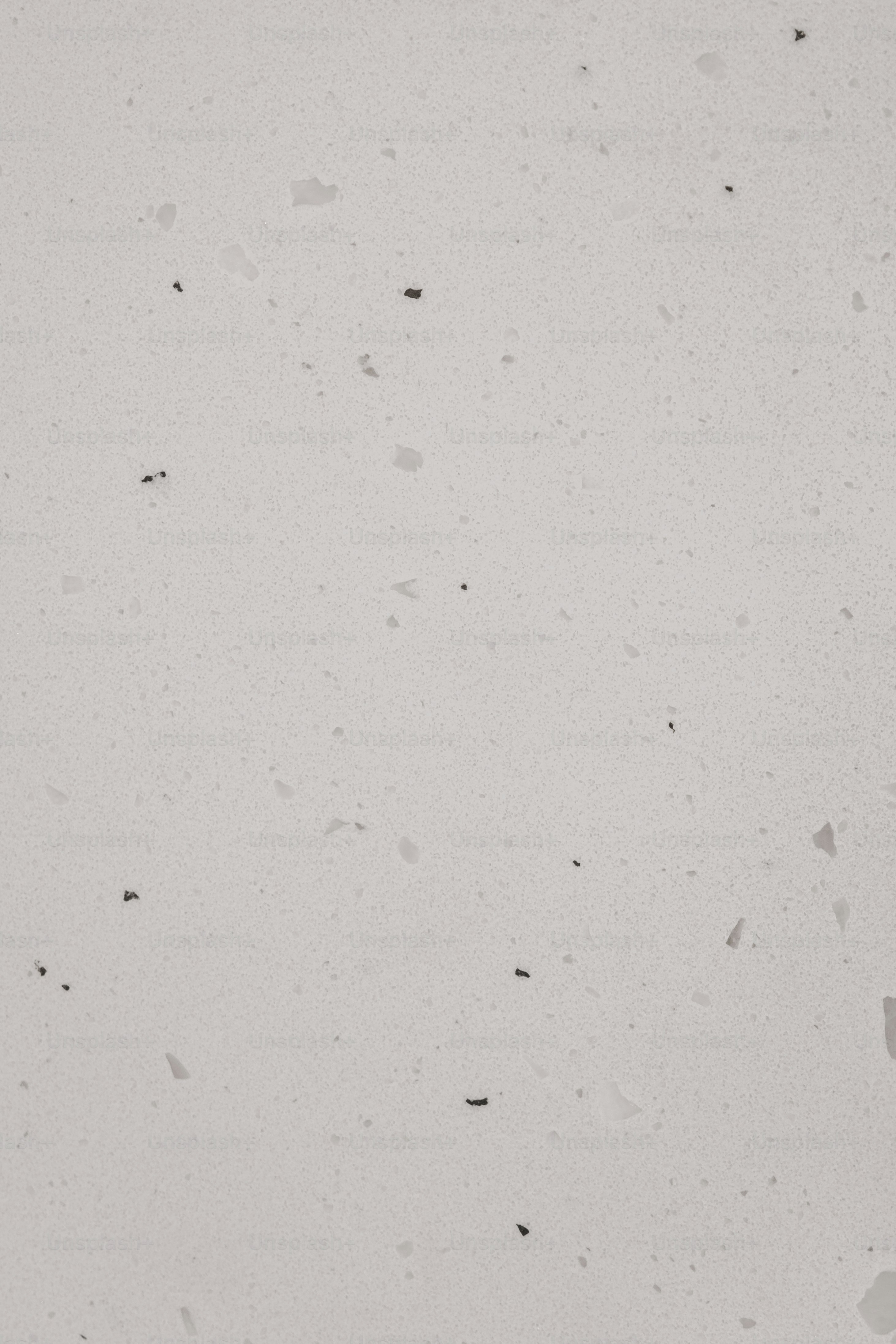 a black and white photo of a bird flying in the sky