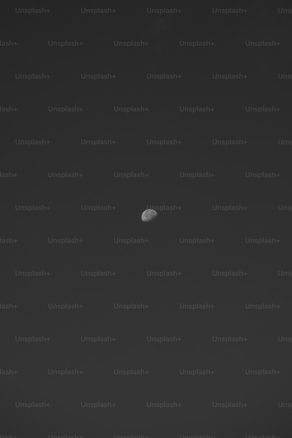 하늘에 떠 있는 달의 흑백 사진
