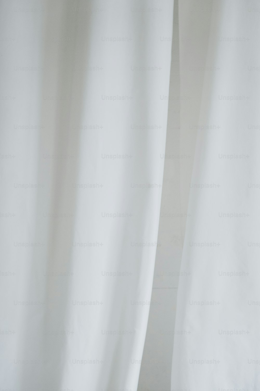 a cat sitting on the floor between two white curtains