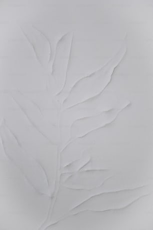 a white plate with a leaf design on it