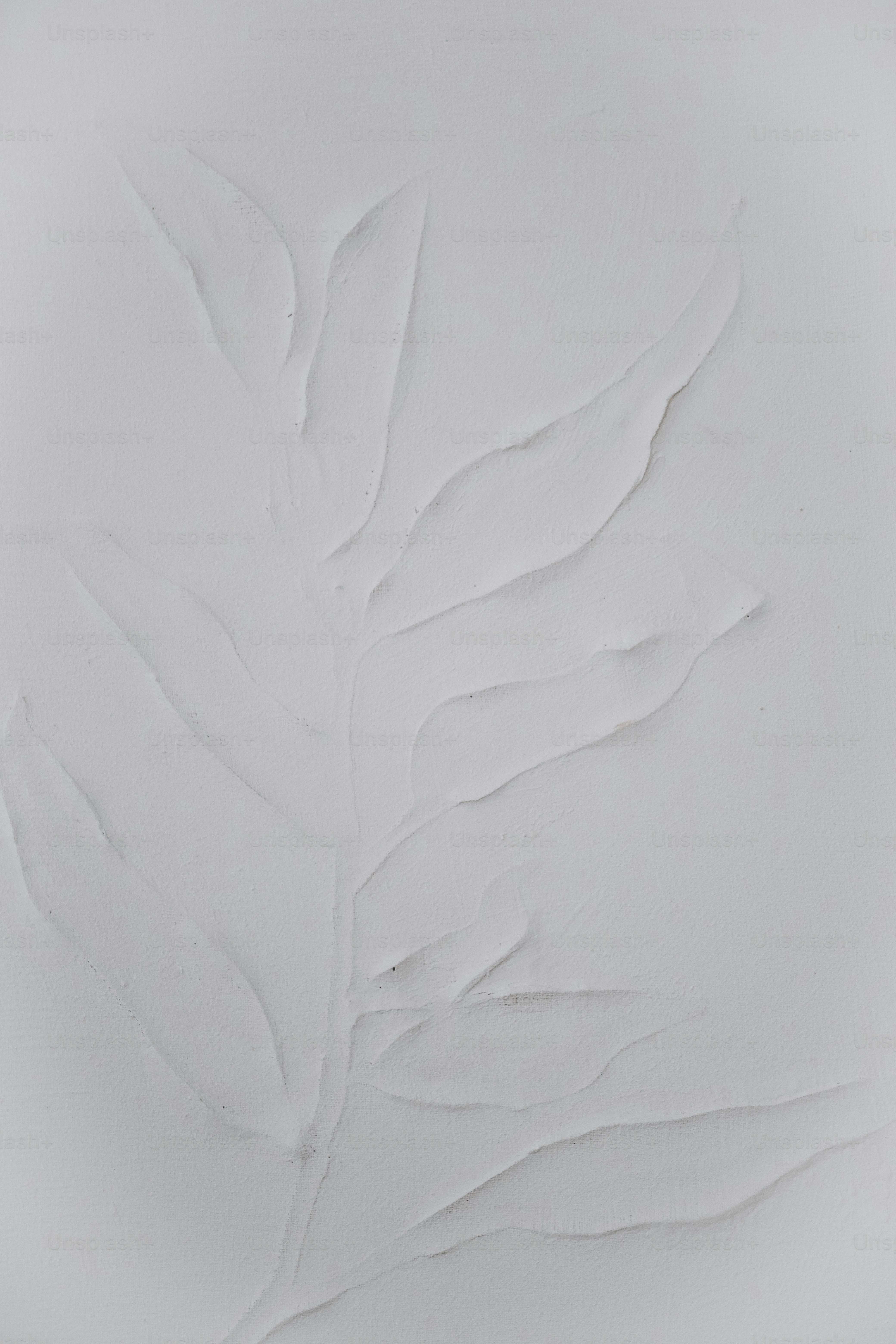 a white plate with a leaf design on it