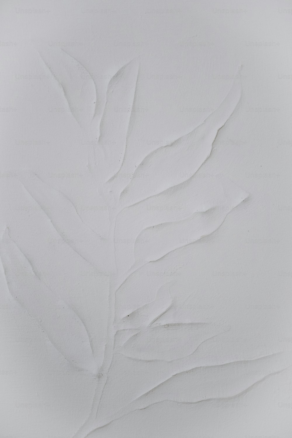 a white plate with a leaf design on it