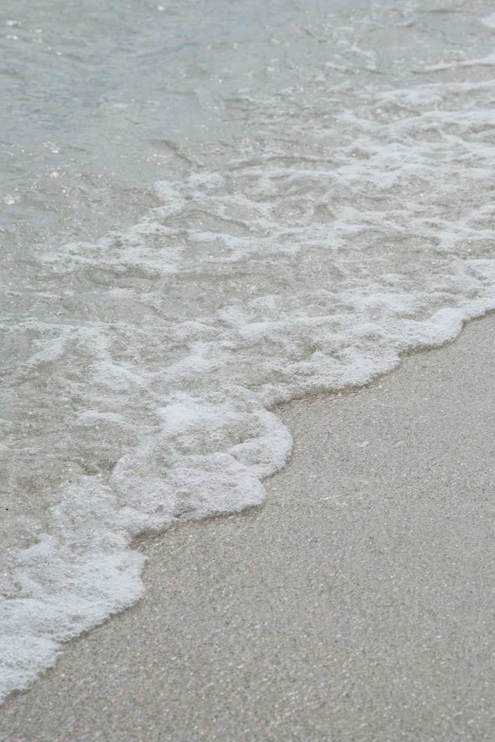 a bird is standing on the beach near the water