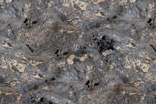 a close up of a rock surface with a black and brown pattern