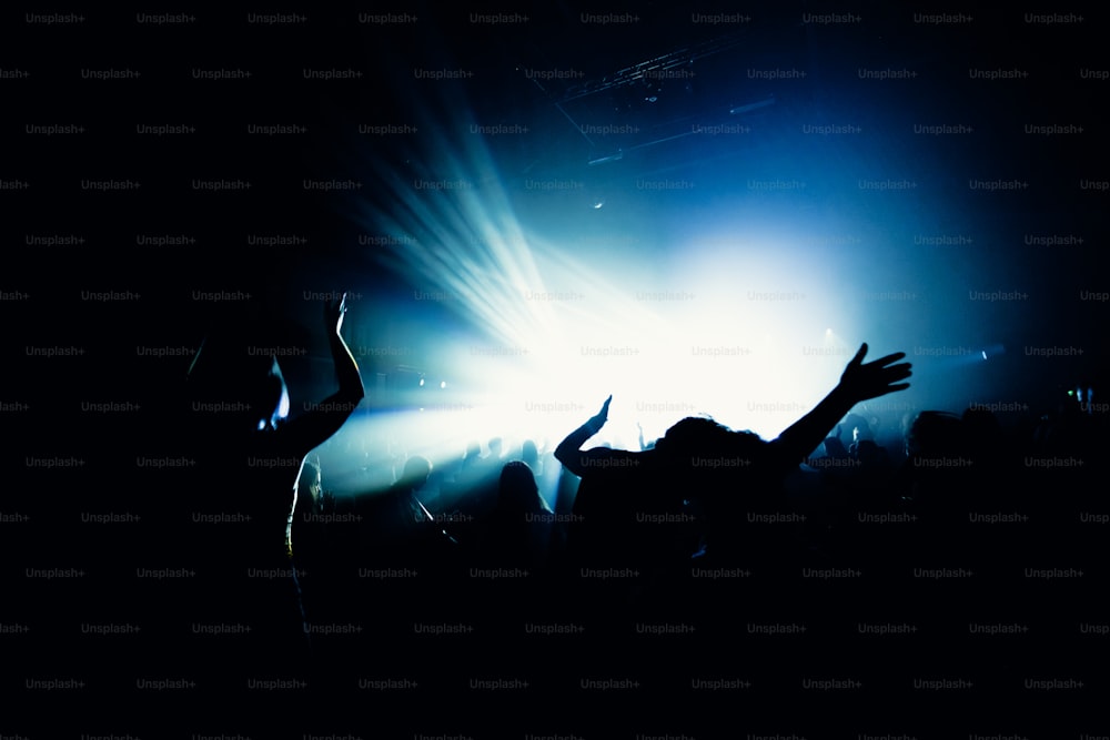 a crowd of people at a concert with their arms in the air
