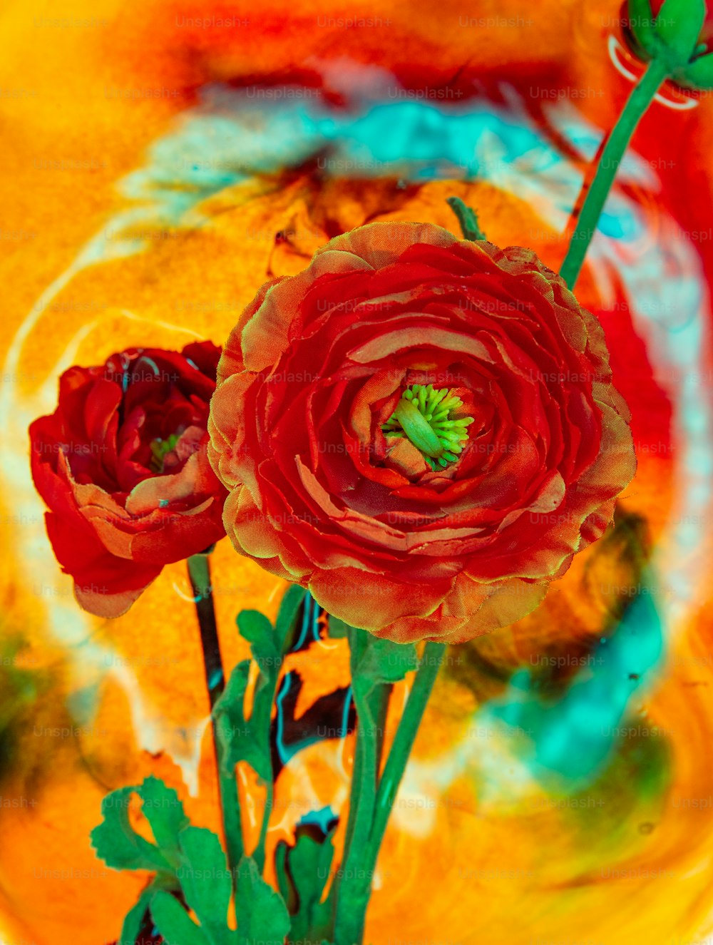 um close up de duas flores em um vaso