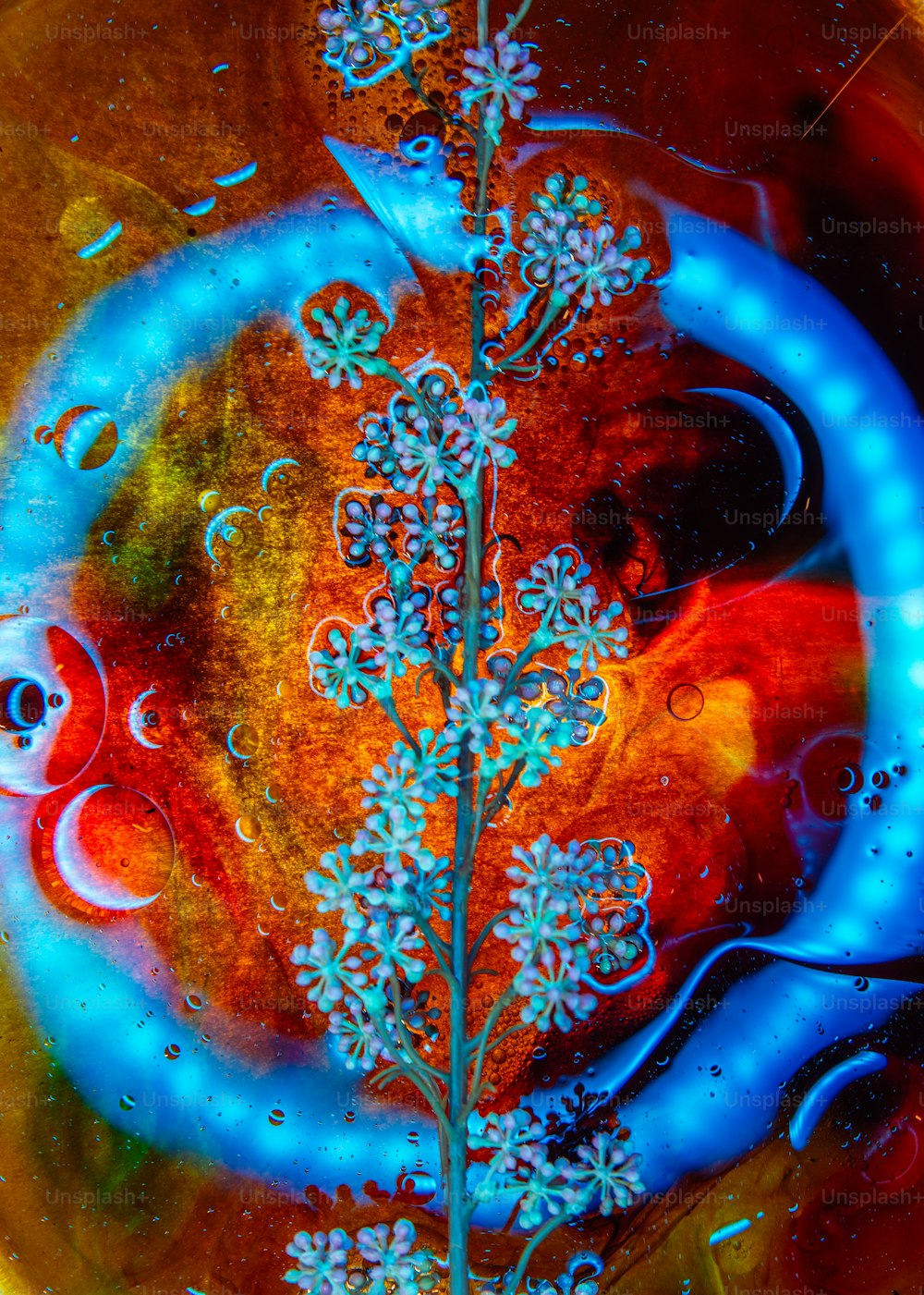 a close up of a flower on a glass plate