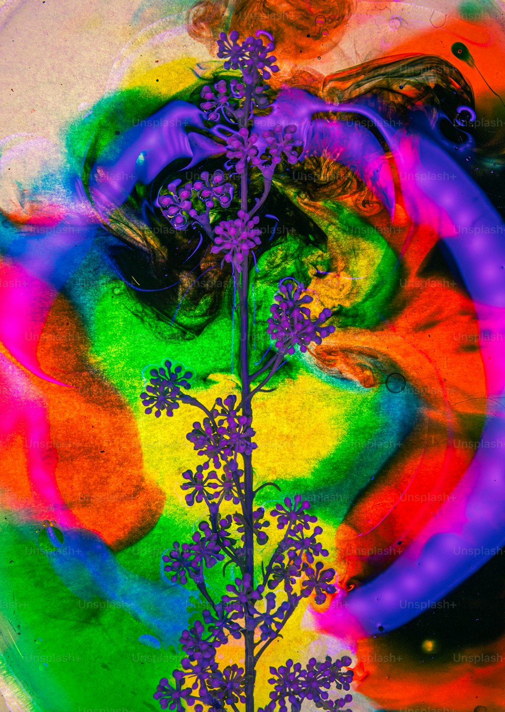 uma pintura de uma flor roxa em um fundo multicolorido