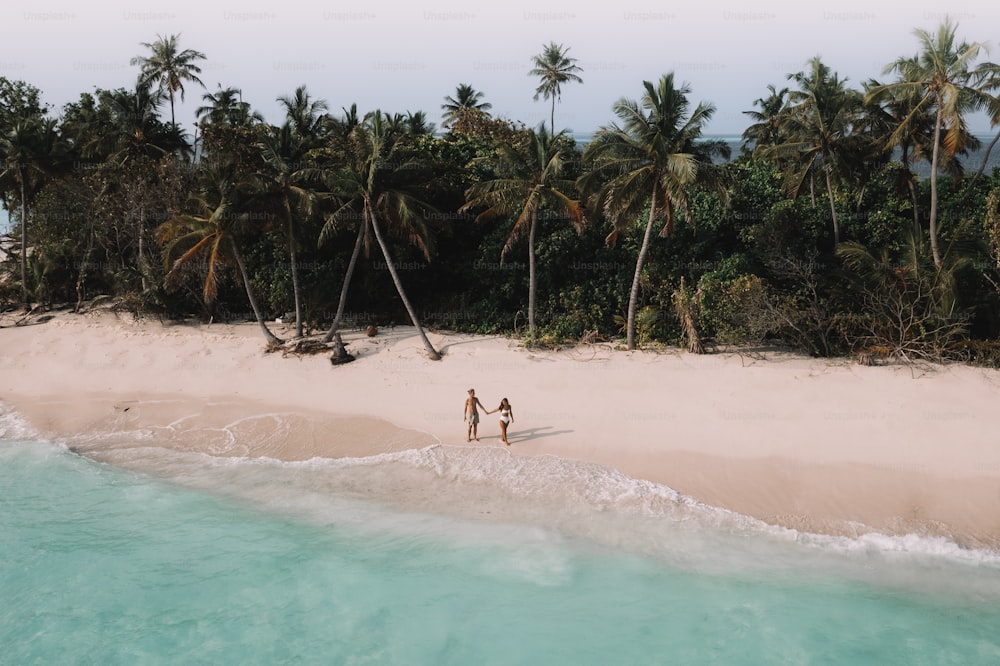 two people walking on a beach with palm trees