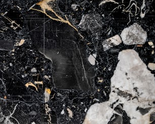 a black and white marble floor with gold accents
