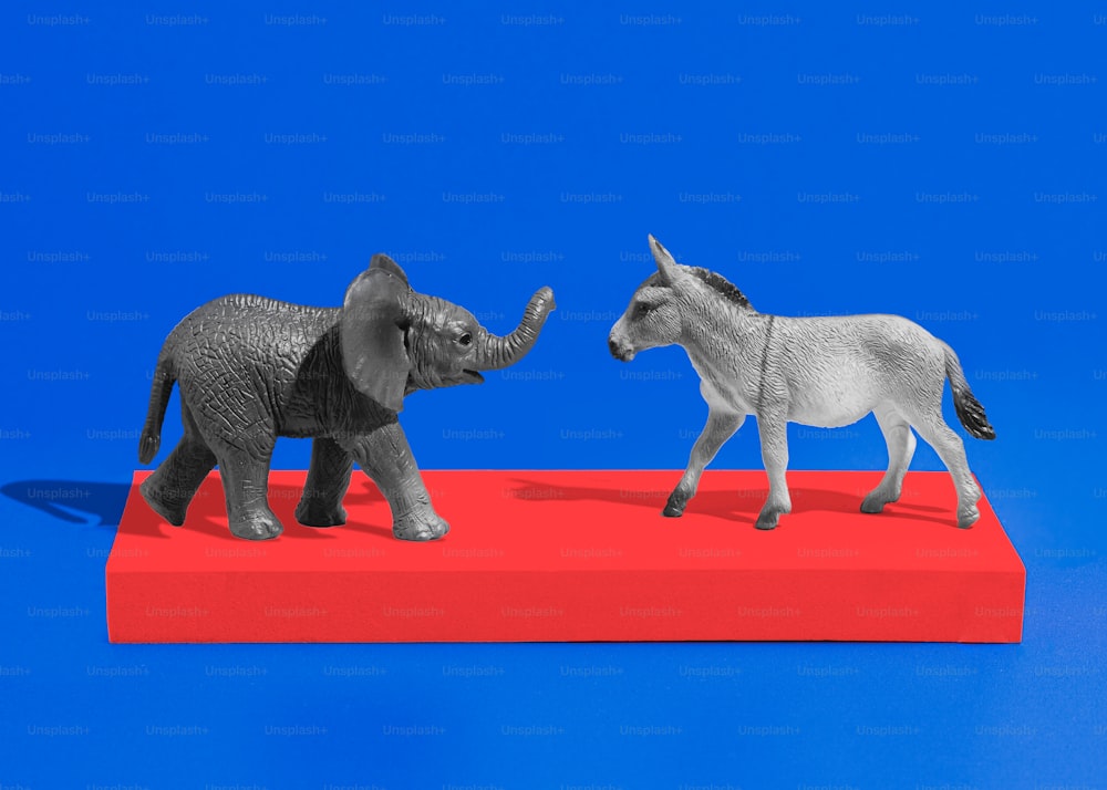빨간 플랫폼 위에 서 있는 코끼리 두 마리
