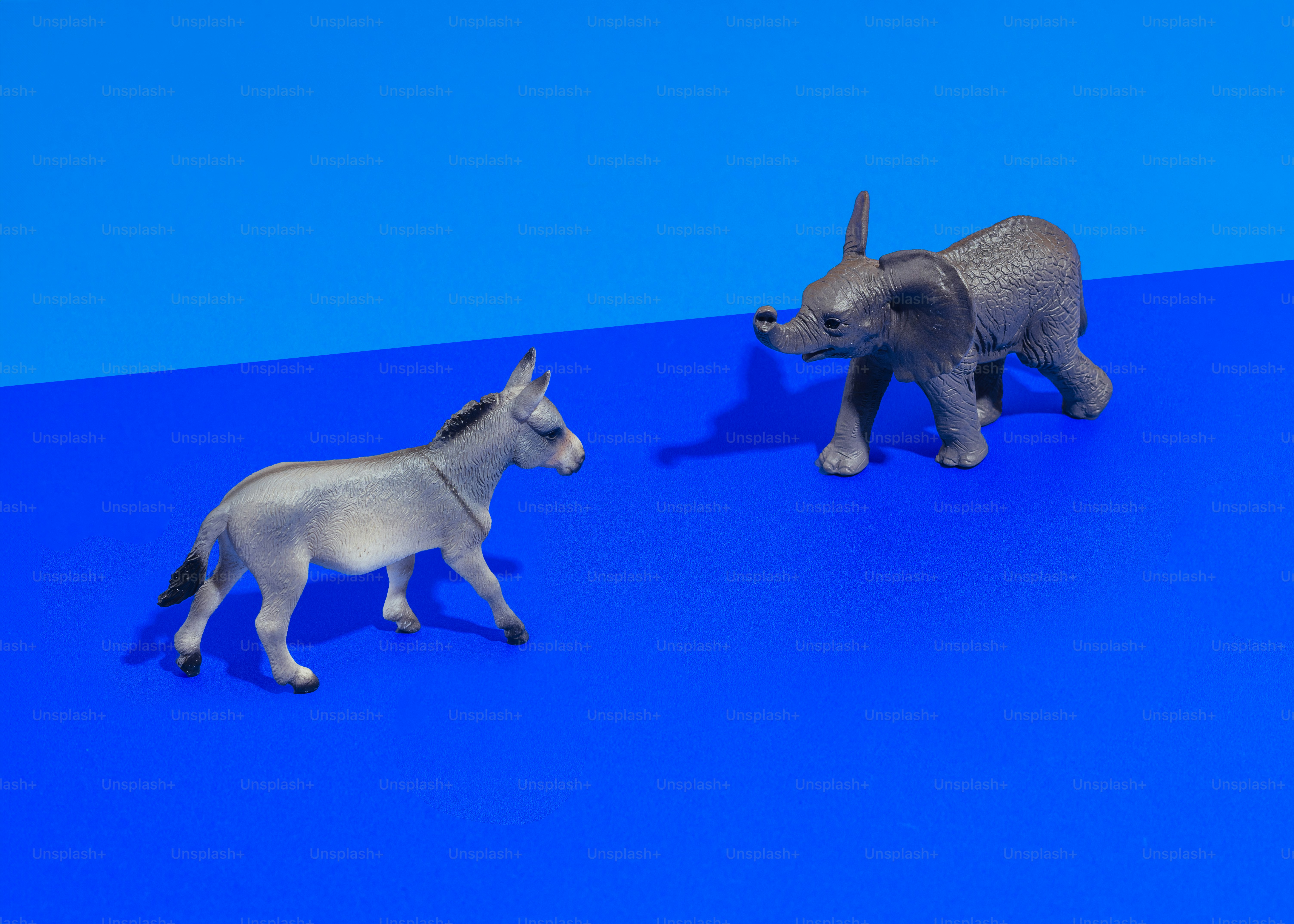 un couple d’animaux jouets debout sur une surface bleue
