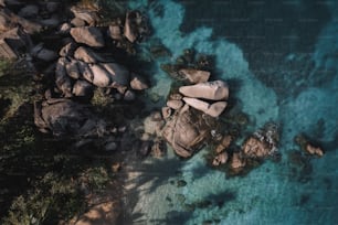 岩と水のあるビーチの航空写真
