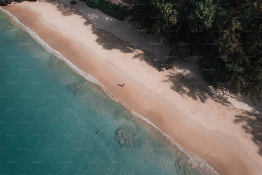 an aerial view of a beach with a person walking on it