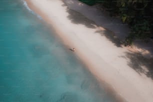 a bird's eye view of a sandy beach and ocean