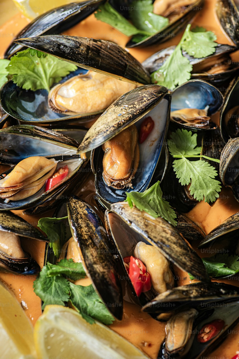 a plate of steamed mussels and garnished with cilantro